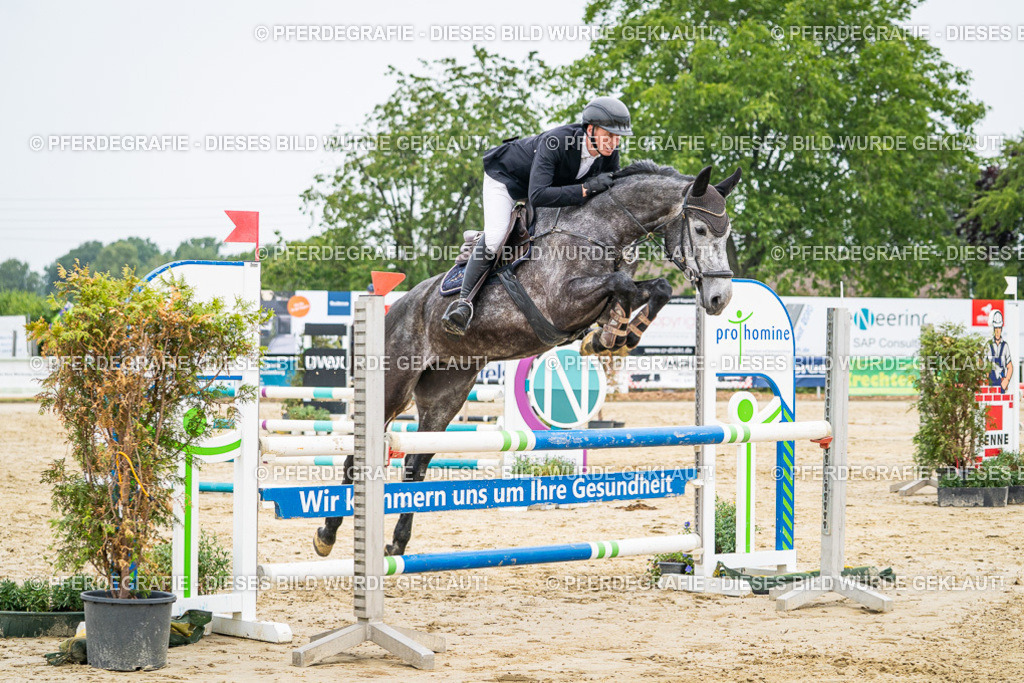 DSC00004 | Pferdegrafie