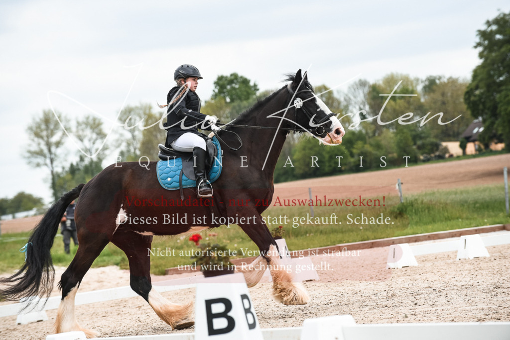20230518_JK-Röhrsdorf-10-374 | Pferde- und Turnierfotografie in Westsachsen. Pferdeportraits, Auftragszeichnungen und intuitive Kunst.