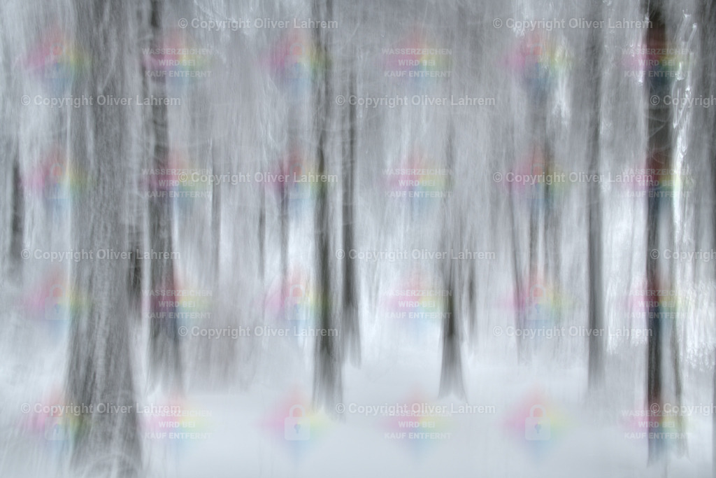 Winterliche Waldimpression 1 | Eine Impressionistische Fotografie eines winterlichen Waldes. Dabei handelt es sich keineswegs um ein Schwarz-Weiß Bild, sondern um eine natürliche Farbaufnahme. Das Bild wurde durch eine Fotografische Aufnahmetechnik realisiert und nicht per Photoshop oder K I .