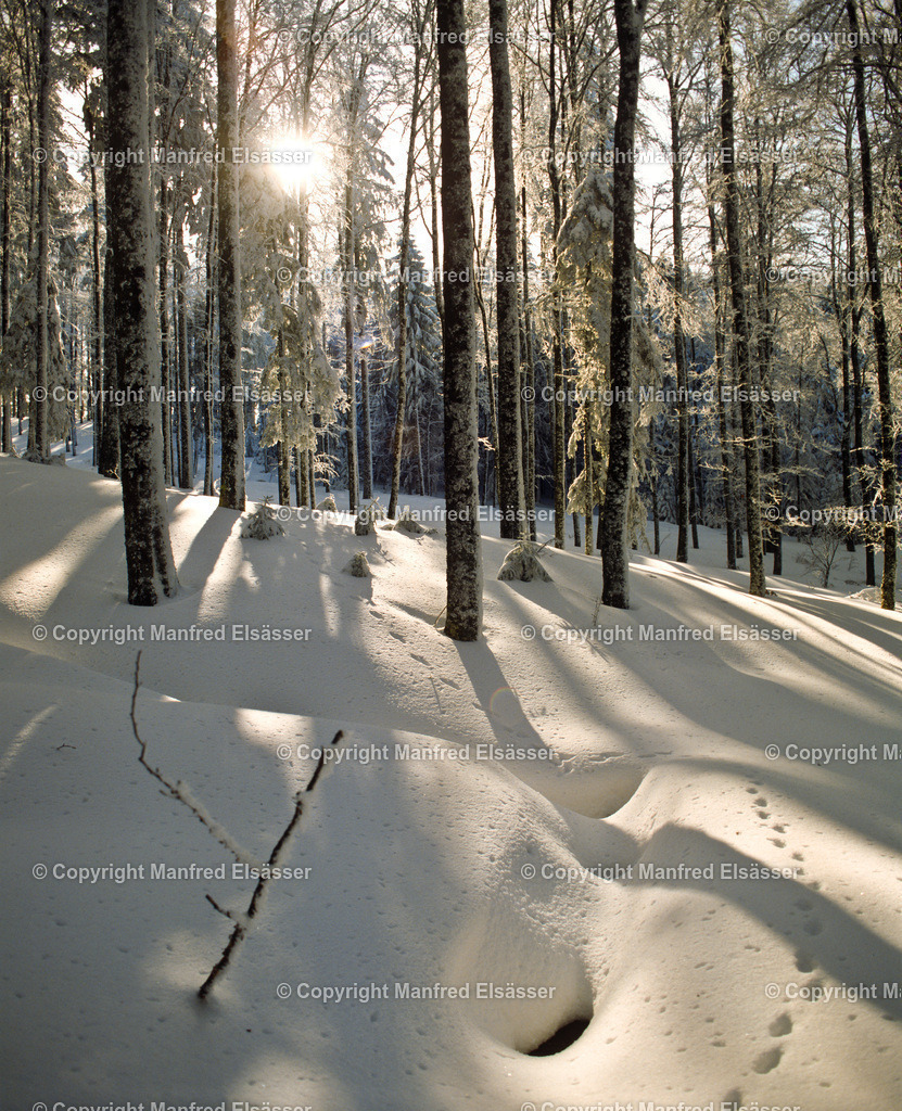 Sonnne+Schatten im Winterwald WB-033 | Wald, Ruhe, Erholung, Abschalten, relaxen, Augenoasen, Kraft tanken, Waldbaden, Stress reduzieren, Bäume, Kirschblüten, Frühlingswald, Sonne im Wald, Licht im Wald, Herbstwald, Waldwege, Gebirgswald, Wasser im Wald, Felsen im Wald, - Realisiert mit Pictrs.com