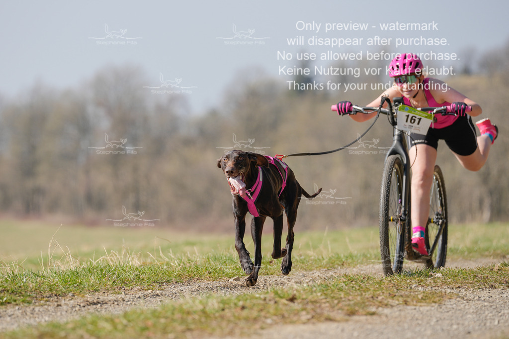 Scooter_Lang-131 | stephaniefillaphotographie - Realisiert mit Pictrs.com