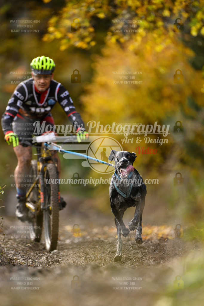 MompixPhotography_ICF_WC_2024_SA_Bike_-287 | PayLife