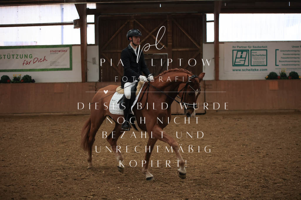 IMGT6905 | pl-fotografie