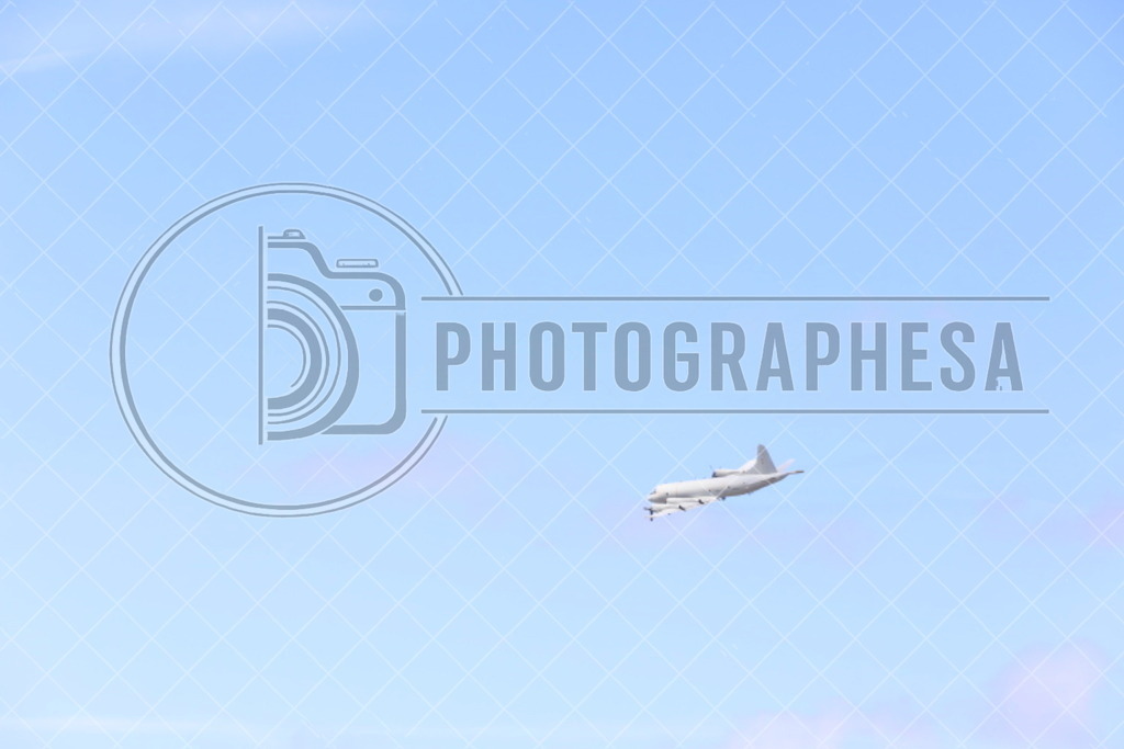 IMG_8822 | photographesa-joergens - Realisiert mit Pictrs.com