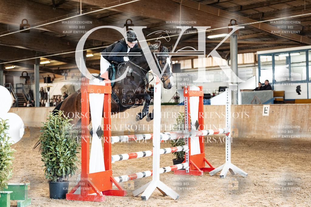 CK905357 | Turnierfotografie Pferdefotografie Trier Rheinland-Pfalz Pferdesport Reitsport Tierfotografie Sportfotografie Pferdevideo Pferdevideografie Equestrianvideography equestrianphotography  - Realisiert mit Pictrs.com
