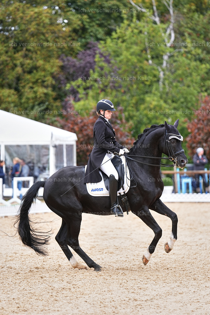 07-093-DRESSUR  S___  -Marixx-5140 | working equitationturnier fotograf videograf stoibphotography marixx film working equitation deutschland reitsport turnierfotografie eventfotografie equestrian events