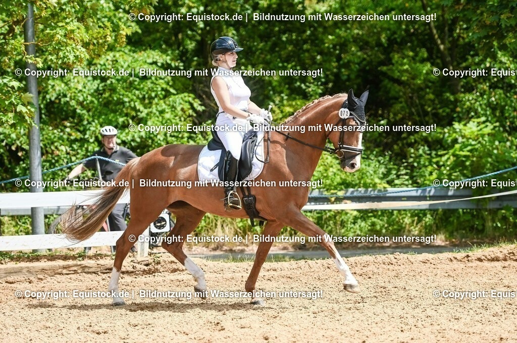 20230716_03_Dressurprfg. Kl.L - Tr._0468 | equistock