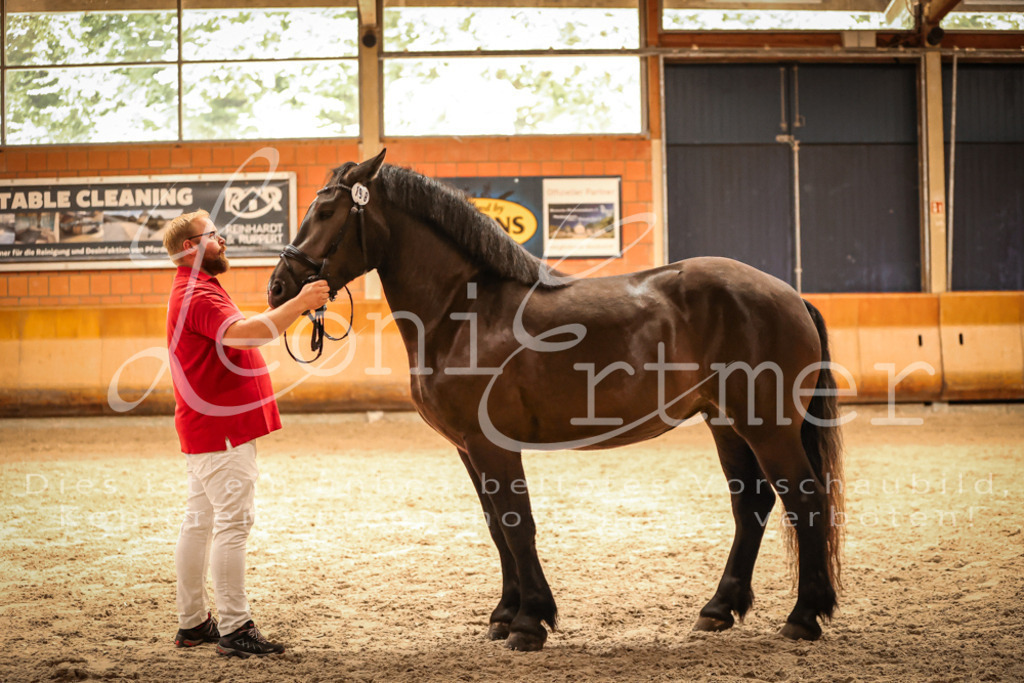 SaFL00375 | Leoni Ertmer Photography - Realisiert mit Pictrs.com