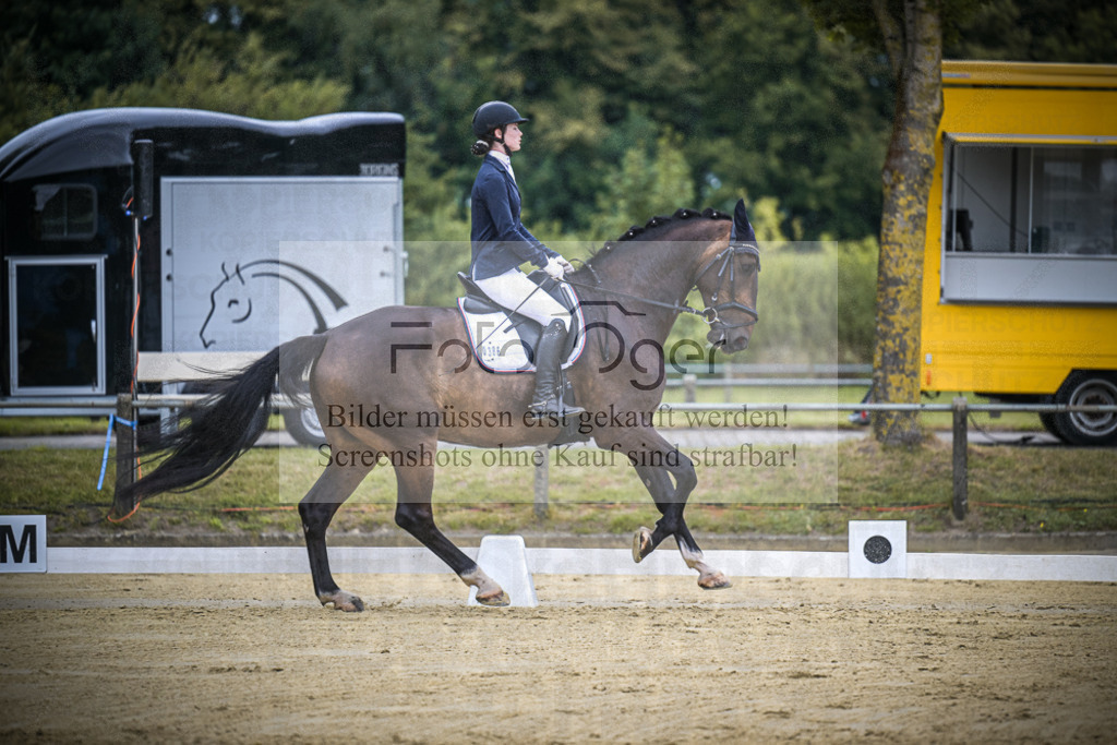 DOS_6991 | Entdecke hochwertige Reitturnierfotos von Foto Oger. Professionell, emotional und authentisch – jetzt Lieblingsmomente im Shop bestellen.Deutschlandweite Turnierfotografie. - Realisiert mit Pictrs.com