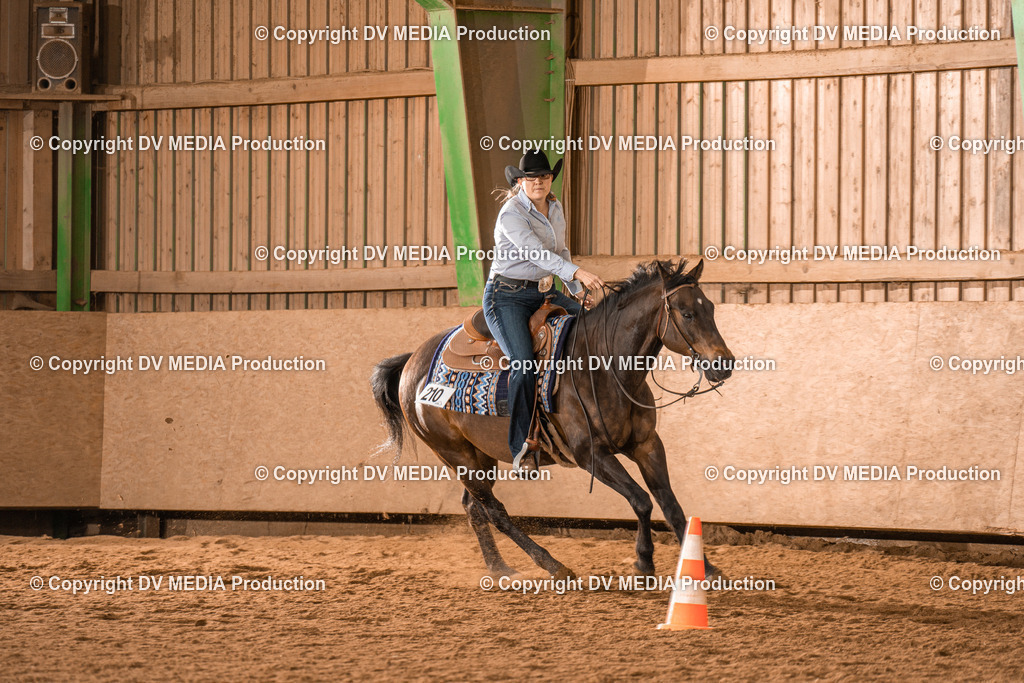 BAL00628 | dv-media-shop - Realisiert mit Pictrs.com