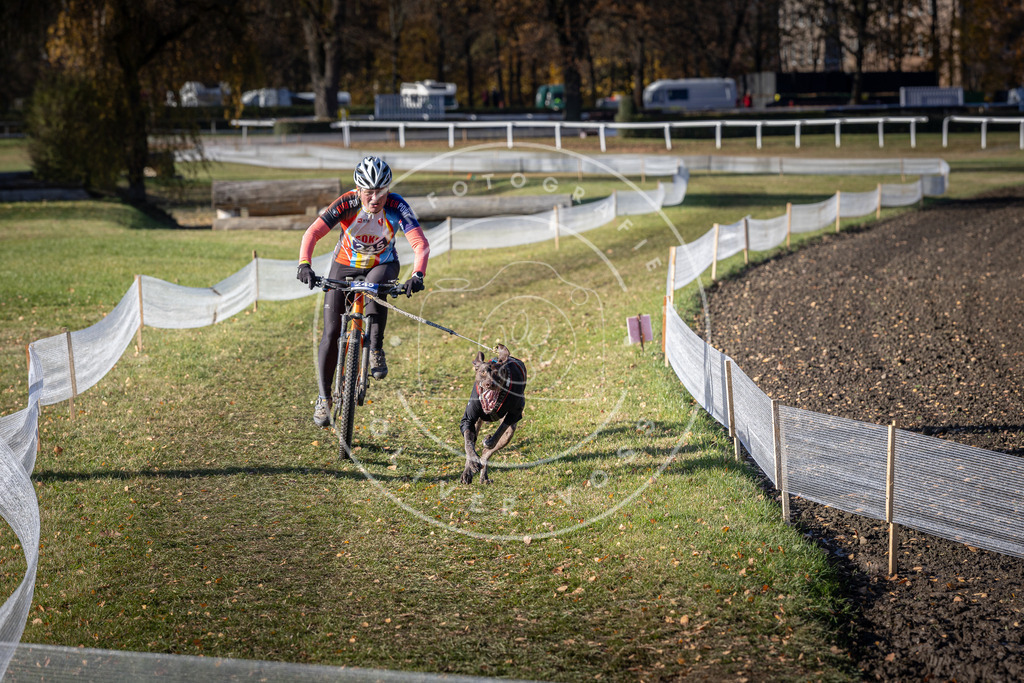 CaniXpix_DV3A4434 | Hundefotografie, Tierfotograf, Pfotenfotografie, Fotoshooting Hund, Hunde Portrait, Hundesport, Hundeportraits, Heideshooting, Hunde, Sportfotograf, Hundefotograf, Turnierhundsport, THS,  - Realisiert mit Pictrs.com