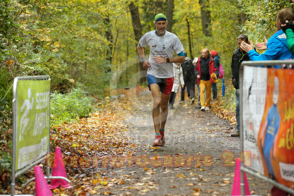 251026_1206_EX1_9883 | Sportfotografie im Rhein-Sieg Kreis, Köln, Bonn, NRW, Rheinland Pfalz, Hessen, etc. Unser Tätigkeitsfeld umfasst den Laufsport vom Volkslauf über den Marathon, Duathlon, Triathon bis zum Ultralauf wie Kölnpfad Ultra oder Schindertrail.