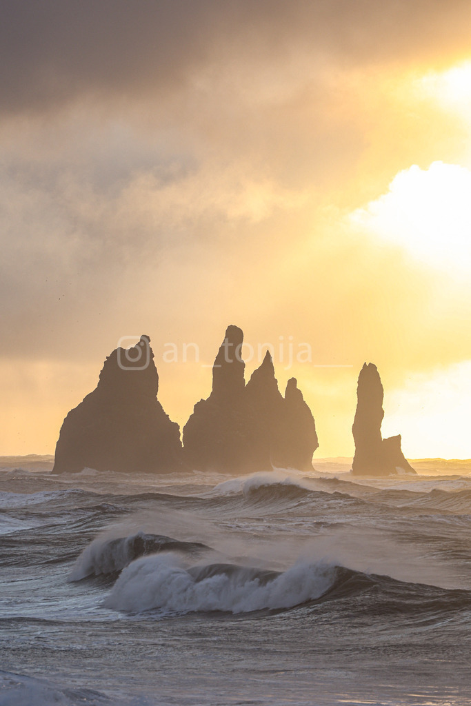 JB3A2636 | antonija-trupina - Realisiert mit Pictrs.com