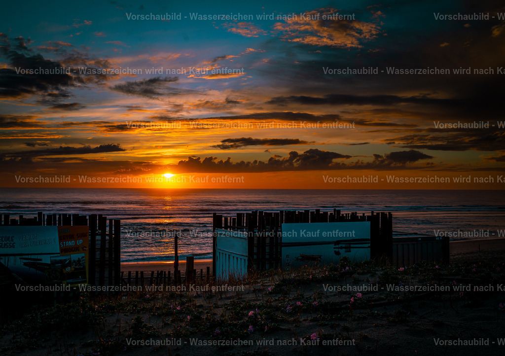 DSC01505 | marcuslinek