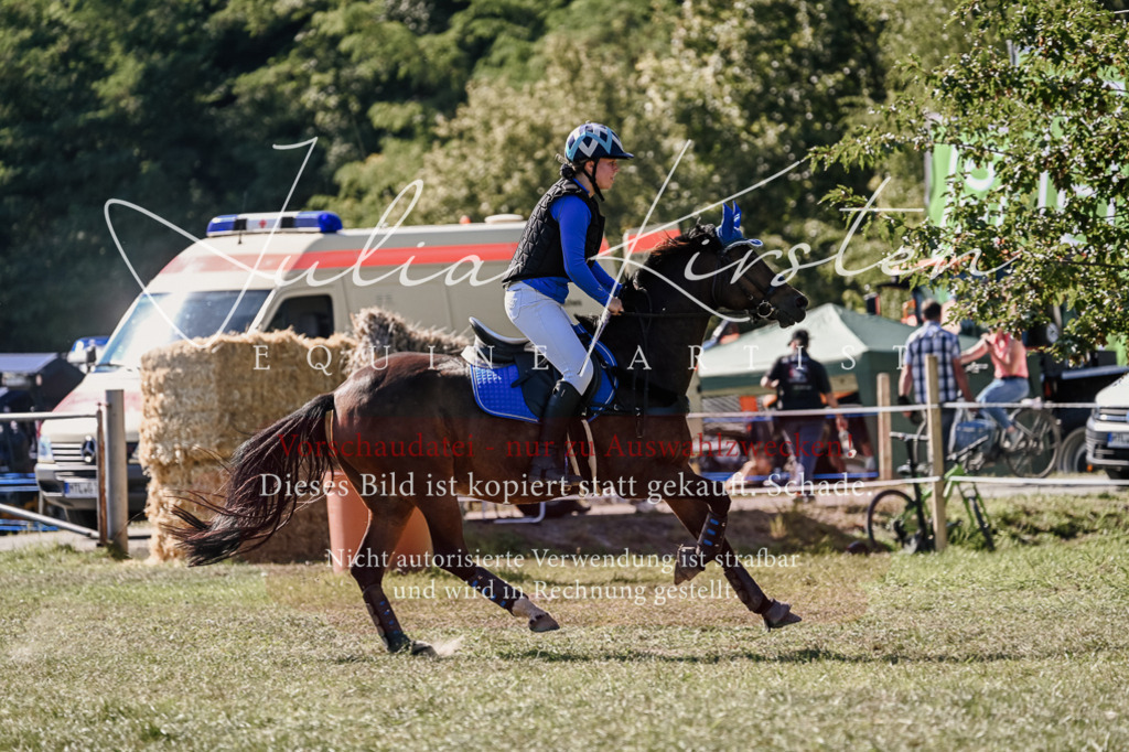 DSC_3097 | Pferde- und Turnierfotografie in Westsachsen. Pferdeportraits, Auftragszeichnungen und intuitive Kunst.