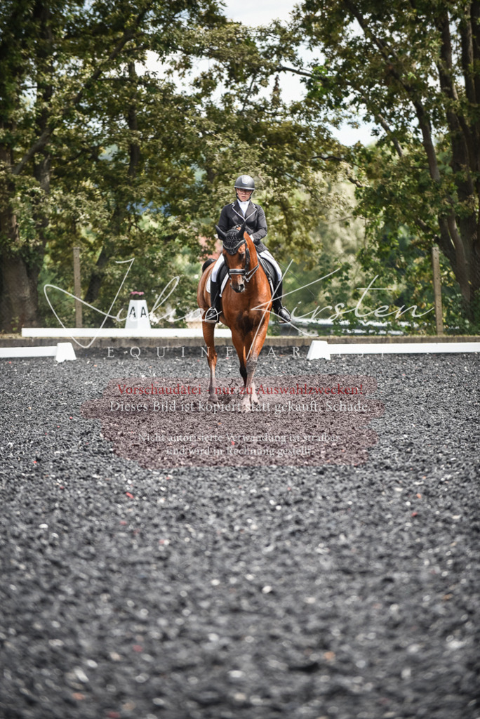 DSC_4983 | Pferde- und Turnierfotografie in Westsachsen. Pferdeportraits, Auftragszeichnungen und intuitive Kunst.