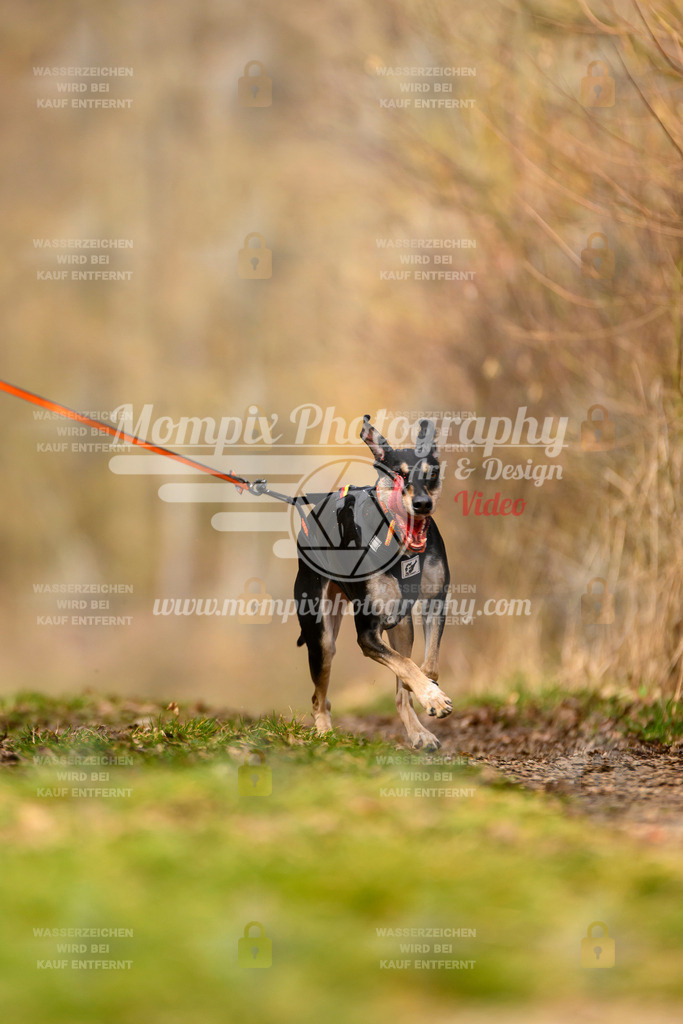 MompixPhotography_Schwabentrail2024_CC-106 | PayLife