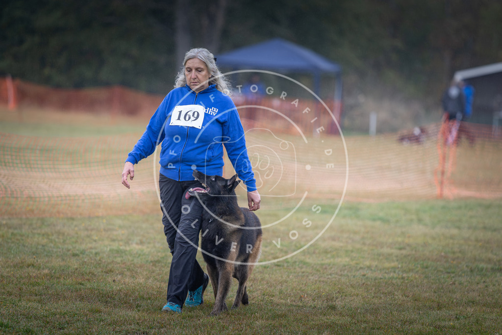 Pfotenfotografie_DV3A9074 | Hundefotografie, Tierfotograf, Pfotenfotografie, Fotoshooting Hund, Hunde Portrait, Hundesport, Hundeportraits, Heideshooting, Hunde, Sportfotograf, Hundefotograf, Turnierhundsport, THS,  - Realisiert mit Pictrs.com