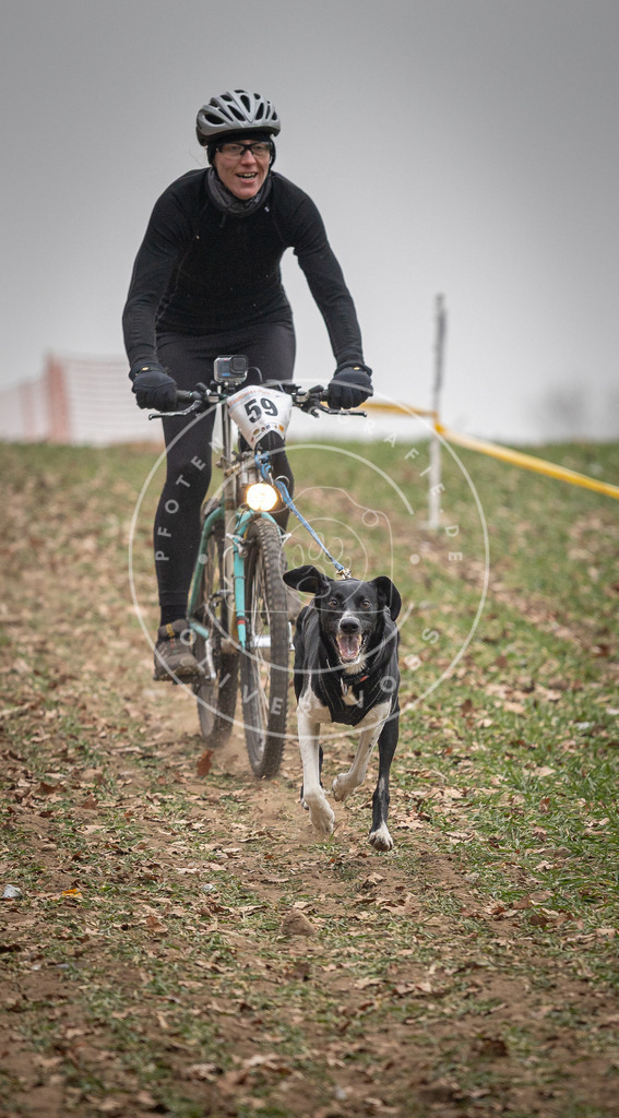 Pfotenfotografie_DV3A2582 | Hundefotografie, Tierfotograf, Pfotenfotografie, Fotoshooting Hund, Hunde Portrait, Hundesport, Hundeportraits, Heideshooting, Hunde, Sportfotograf, Hundefotograf, Turnierhundsport, THS,  - Realisiert mit Pictrs.com