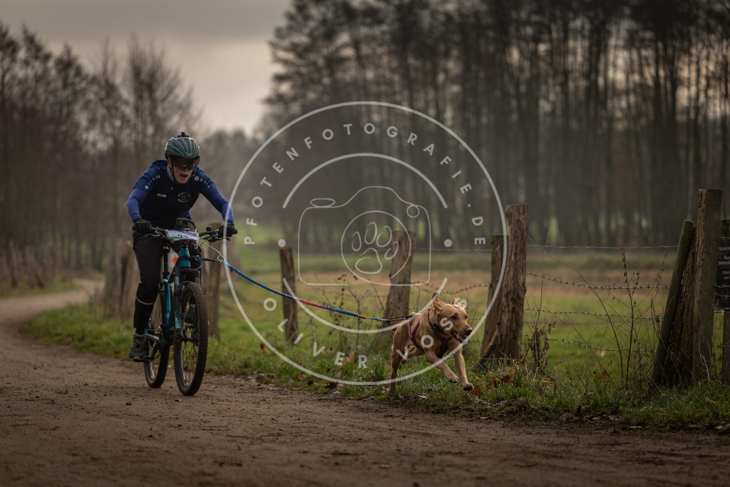 Pfotenfotografie_DV3A1974 | Hundefotografie, Tierfotograf, Pfotenfotografie, Fotoshooting Hund, Hunde Portrait, Hundesport, Hundeportraits, Heideshooting, Hunde, Sportfotograf, Hundefotograf, Turnierhundsport, THS,  - Realisiert mit Pictrs.com
