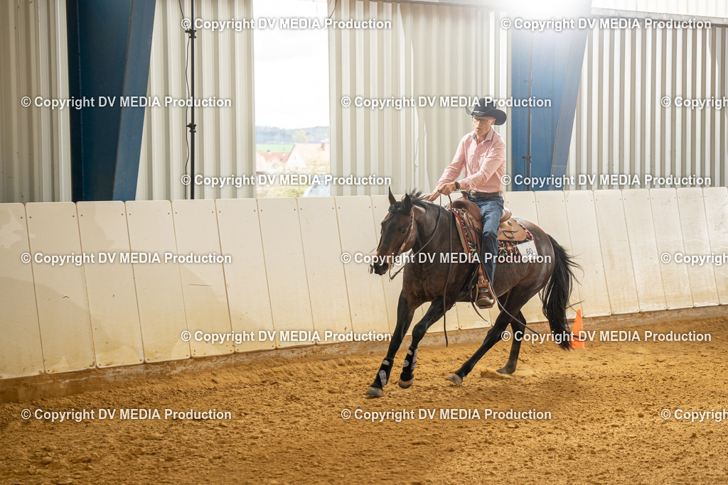 MIT01325 | dv-media-shop - Realisiert mit Pictrs.com