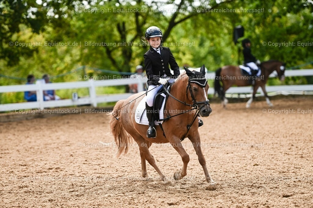 20230716_10-3_Reiter-WB Schritt - Trab - Galopp_0186 | equistock