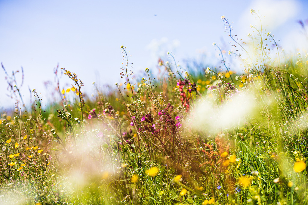 IU2A3412 | ap-design // andreas plenk - Realisiert mit Pictrs.com