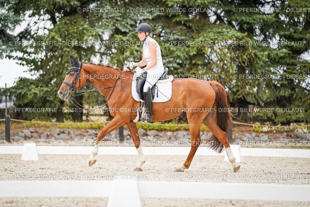 DSC08657 | Pferdegrafie