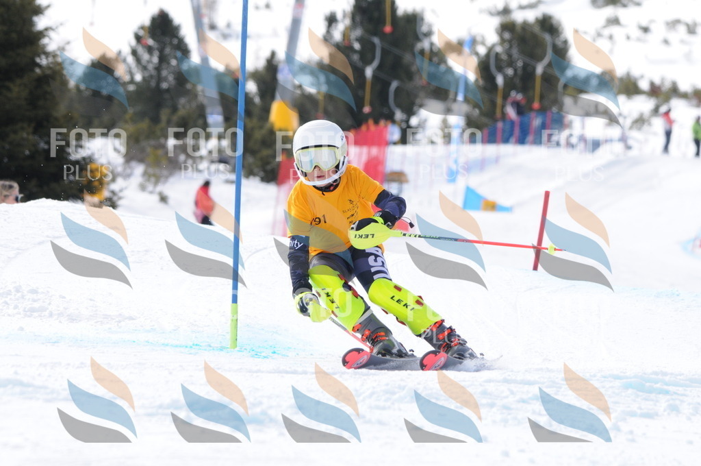 C7482 | holidayphoto