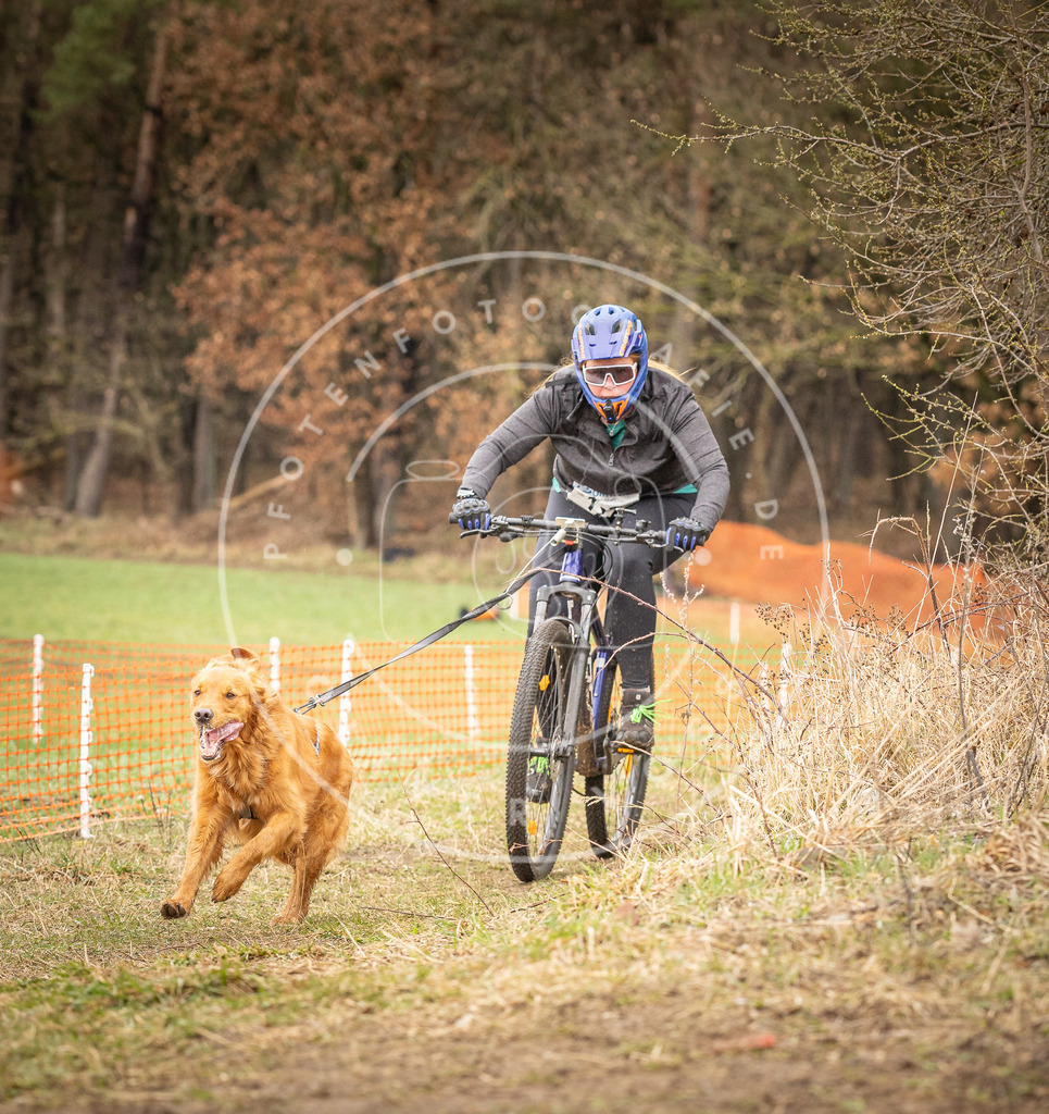 DV3A1105 | Hundefotografie, Tierfotograf, Pfotenfotografie, Fotoshooting Hund, Hunde Portrait, Hundesport, Hundeportraits, Heideshooting, Hunde, Sportfotograf, Hundefotograf, Turnierhundsport, THS,  - Realisiert mit Pictrs.com