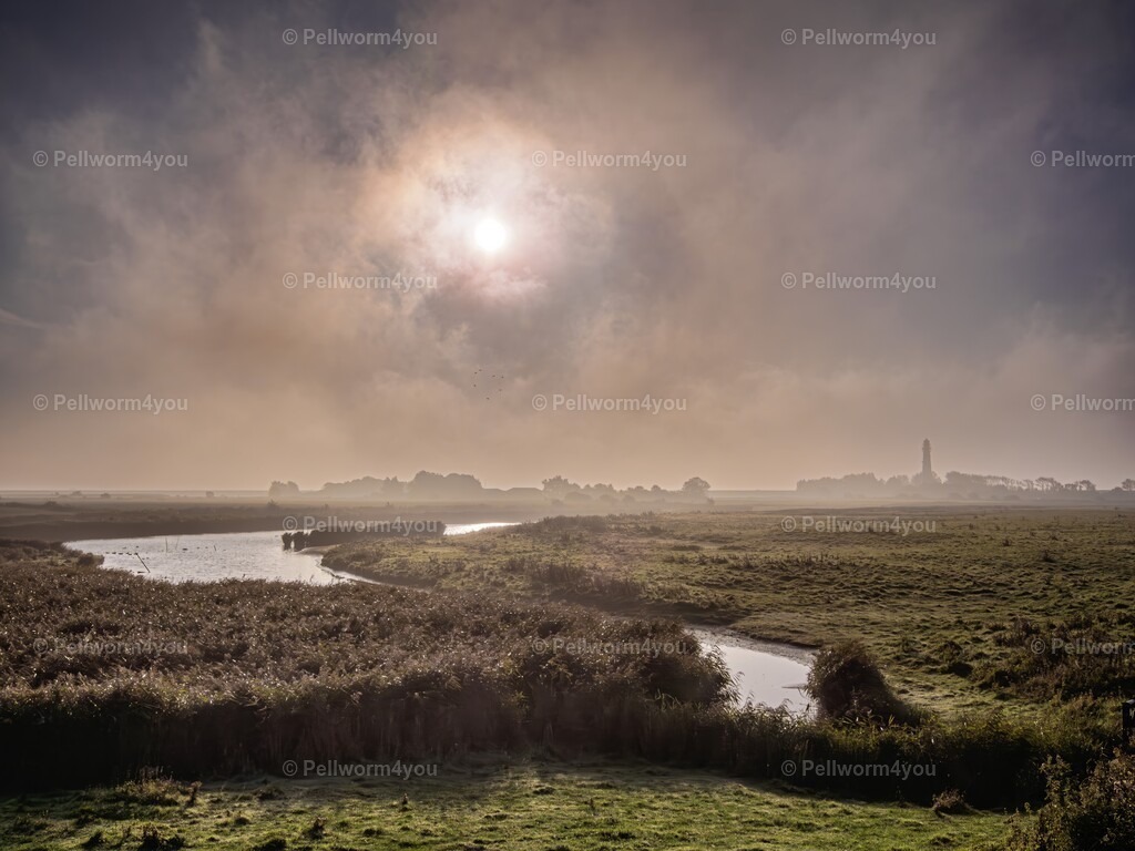 _9210575-Enhanced-NR-denoise-sharpen-upscale-2x | Pellwormer Bilder und Fotos als Poster, auf Leinwand mit Keilrahmen, hinter Acrylglas, auf Alu-Dibond oder Forex-Platte und vieles mehr. Zum verschenken, für die Ferienwohnung oder für zu Hause. - Realisiert mit Pictrs.com