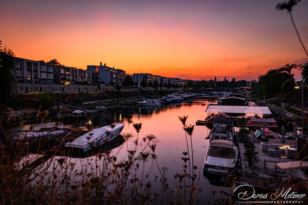 DSC_1414 | Fotografien, Fotos und Bilder aus Mainz, Frankfurt, Wiesbaden und anderen Orten auf der Welt - Fotografiert von Darius Metzner