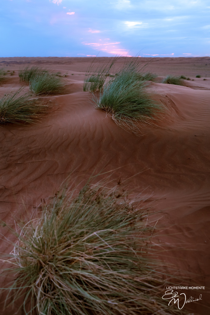 Al Salam Desert Camp, Al Qabil, Bidiyya, Oman | Herzlich willkommen auf meiner Seite! Ich bin Elke Wallnisch, Deine Fotografin für lichtstarke Momente. Der Name steht für alles, was mich mit der Fotografie verbindet: Das Licht und seine machtvolle Wirkung auf eine Situation oder unsere Stimmung - Realisiert mit Pictrs.com