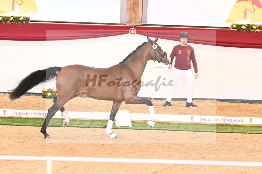 Kat.-Nr. 79 v. Valverde_Gaab_2241013 | hf-fotografie - Realizzato con Pictrs.com