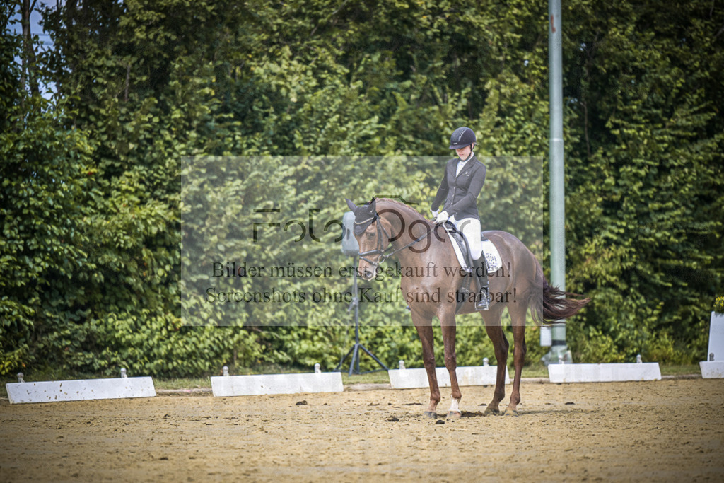 DOS_3010 | Entdecke hochwertige Reitturnierfotos von Foto Oger. Professionell, emotional und authentisch – jetzt Lieblingsmomente im Shop bestellen.Deutschlandweite Turnierfotografie. - Realisiert mit Pictrs.com
