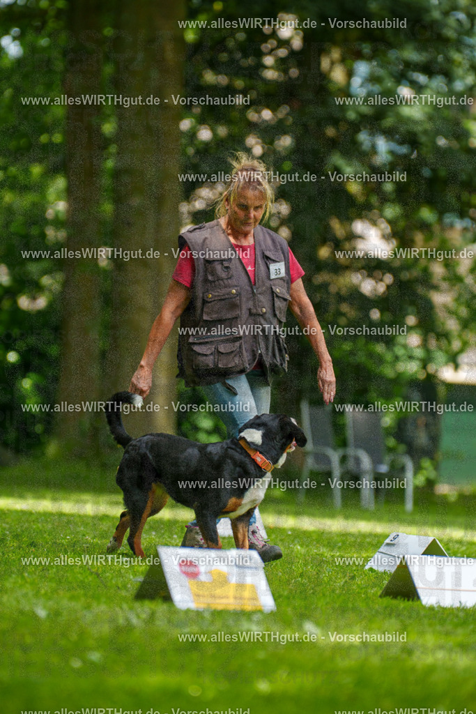 @allesWIRTHgut_Tierfotografie - www.allesWIRTHgut.de - 7R504629 | Professionelle Tierfotografie in Mönchengladbach von Daniel Wirth (allesWIRTHgut). Liebevolle & natürliche Bilder von Hunden & Katzen für unvergessliche Erinnerungen.