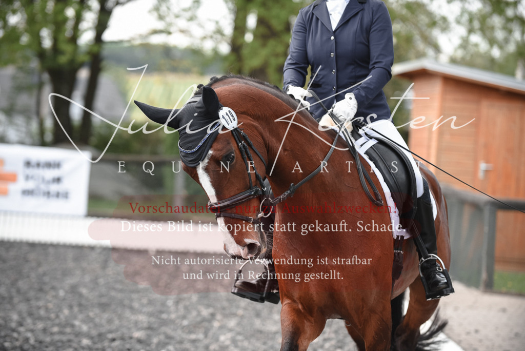 20230513_JK-Röhrsdorf-14-642 | Pferde- und Turnierfotografie in Westsachsen. Pferdeportraits, Auftragszeichnungen und intuitive Kunst.