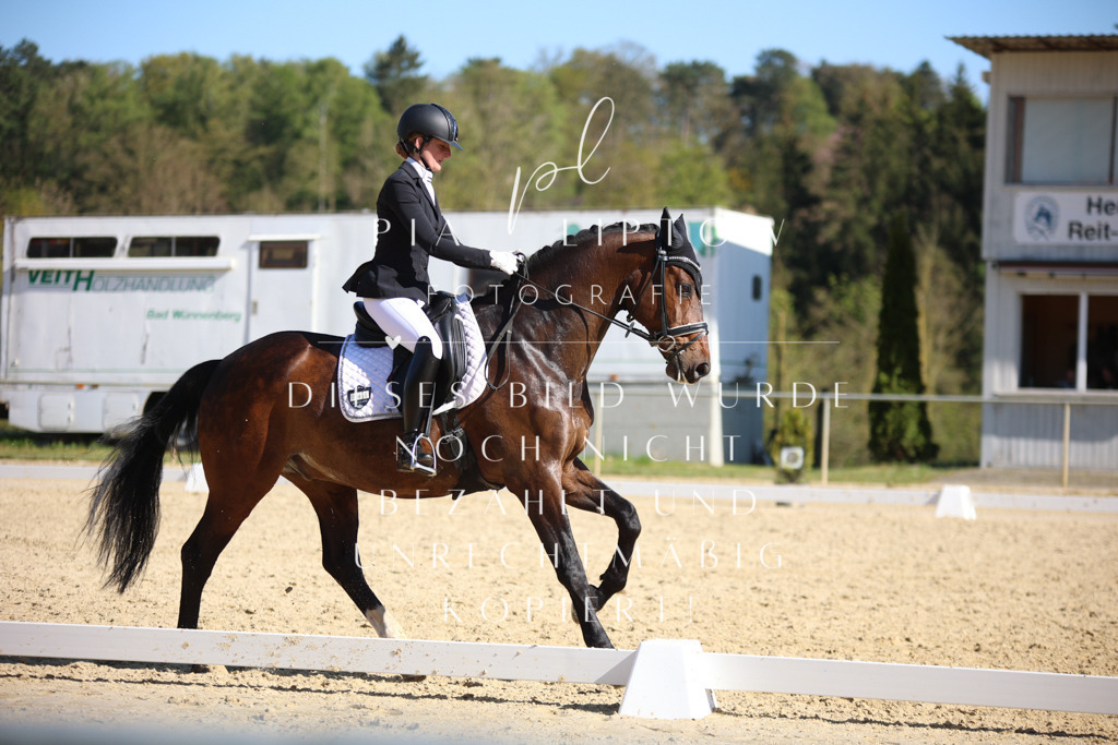 IMGT8778 | pl-fotografie