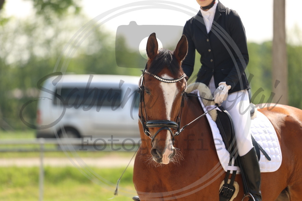 994A7102 | sabrinanicolaifotografie - Realisiert mit Pictrs.com