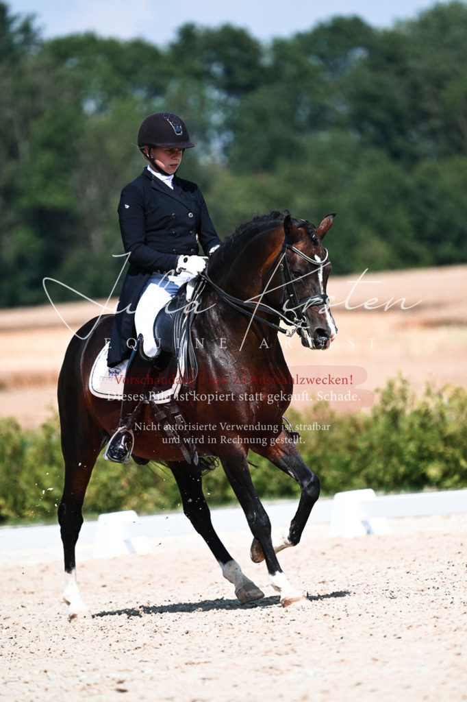 DSC_2952 | Pferde- und Turnierfotografie in Westsachsen. Pferdeportraits, Auftragszeichnungen und intuitive Kunst.