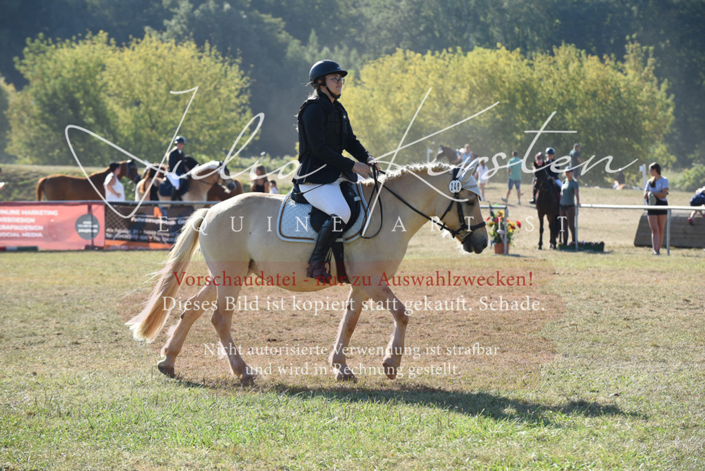 DSC_5833 | Pferde- und Turnierfotografie in Westsachsen. Pferdeportraits, Auftragszeichnungen und intuitive Kunst.