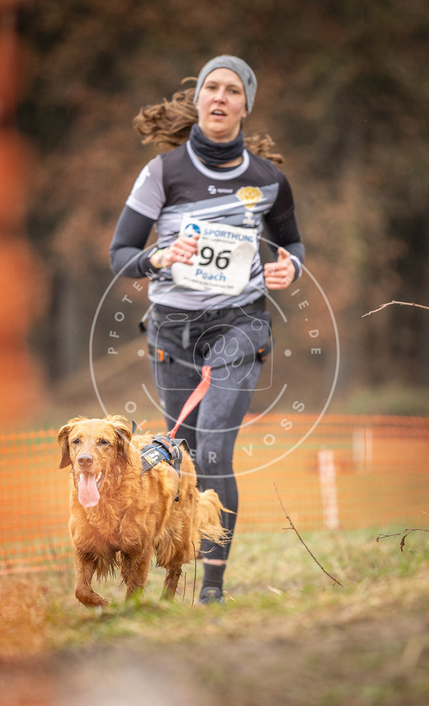 DV3A0543 | Hundefotografie, Tierfotograf, Pfotenfotografie, Fotoshooting Hund, Hunde Portrait, Hundesport, Hundeportraits, Heideshooting, Hunde, Sportfotograf, Hundefotograf, Turnierhundsport, THS,  - Realisiert mit Pictrs.com