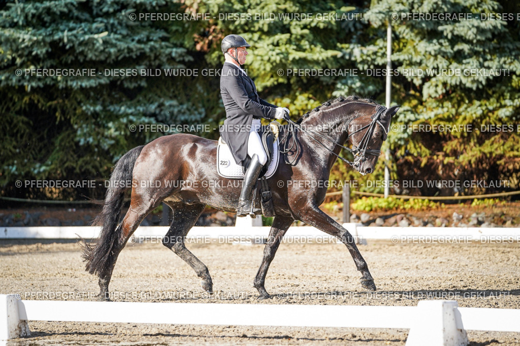 DSC00641 | Pferdegrafie