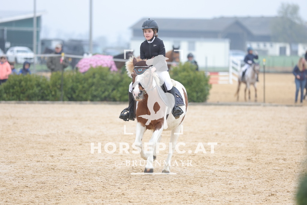 0P6A8555 | Willkommen bei Brunnmayr - Design & Fotografie – Ihrem Spezialisten für Reitturniere und Pferdeveranstaltungen in Oberösterreich, Salzburg und Bayern! Seit über 17 Jahren sind wir leidenschaftlich dabei.