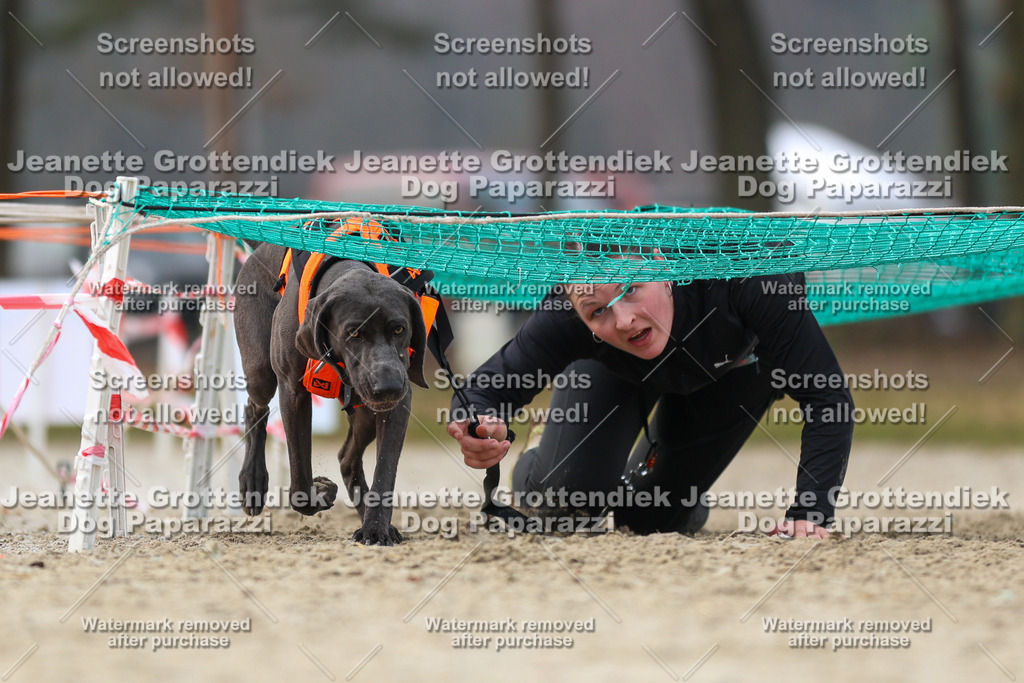 Dog Paparazzi - Strongdog North Mrz26-4415 | Dog Paparazzi Jeanette Grottendiek Fotografie & Videografie - Realized with Pictrs.com