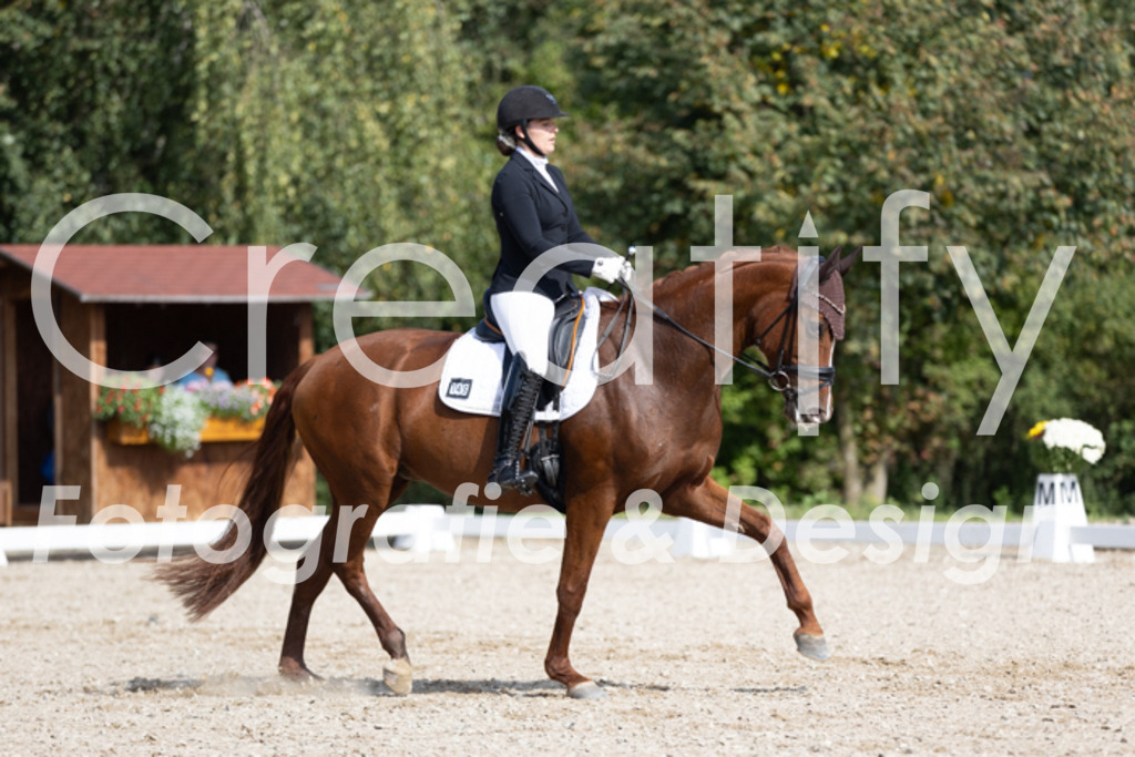 IMG_3410 | Creatify Fotografie