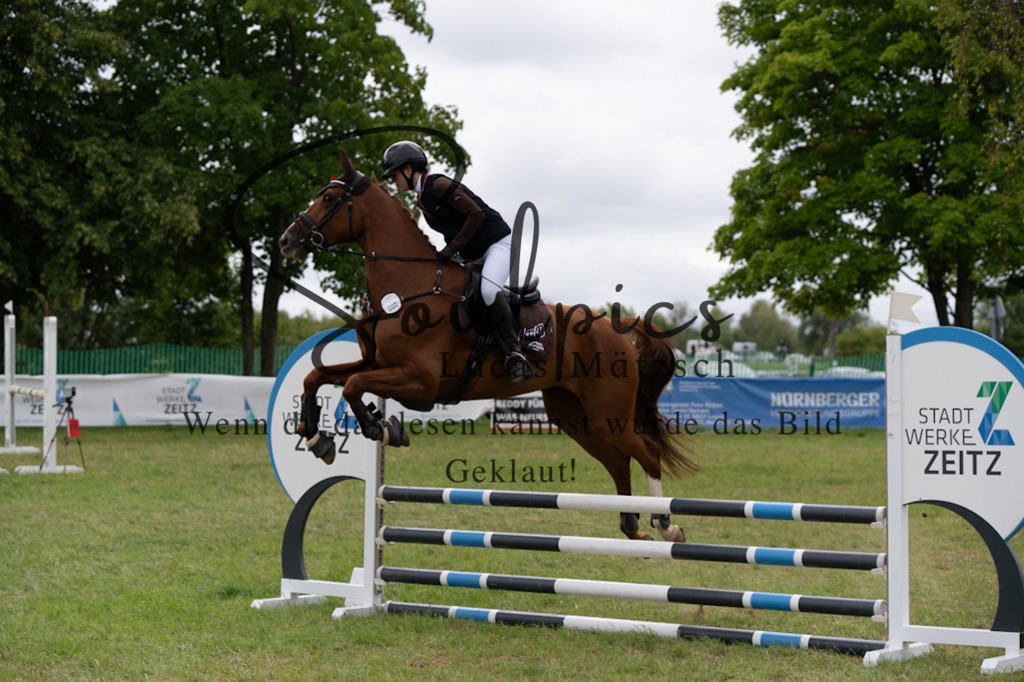 A7V05499 | Pferdefotograf