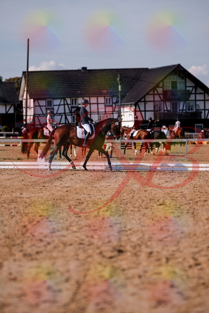 2026_10_03_Siefer-Hof_125521_Z81_44056546 | Professionelle Reitsport-, Turnier- und Eventfotografie von Robert Broda. Galerien mit ausgewählten und bearbeiteten Bildern direkt online ansehen und bestellen.