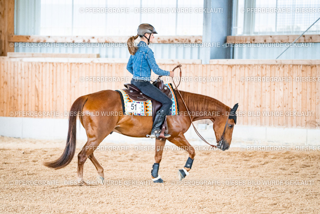 DSC09455 | Pferdegrafie