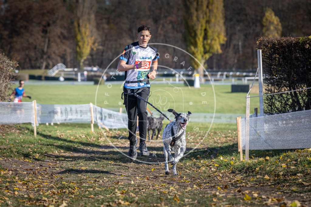 CaniXpix_DV3A9062 | Hundefotografie, Tierfotograf, Pfotenfotografie, Fotoshooting Hund, Hunde Portrait, Hundesport, Hundeportraits, Heideshooting, Hunde, Sportfotograf, Hundefotograf, Turnierhundsport, THS,  - Realisiert mit Pictrs.com